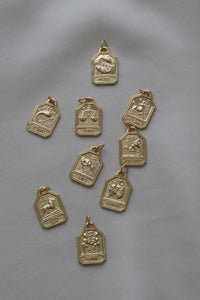 Zodiac Pendant- Box Chain